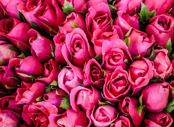 Full frame shot of pink roses for sale in market