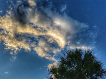 Low angle view of silhouette palm trees against blue sky