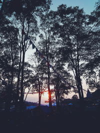 Low angle view of silhouette trees against sky at sunset