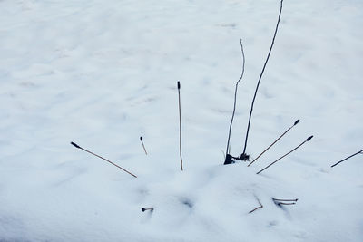 High angle view of snow covered land on field