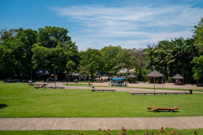 Scenic view of trees on field against sky