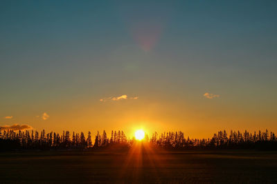 Silhouette trees and buildings against sky during sunset