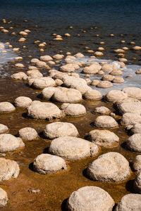 High angle view of stones on beach