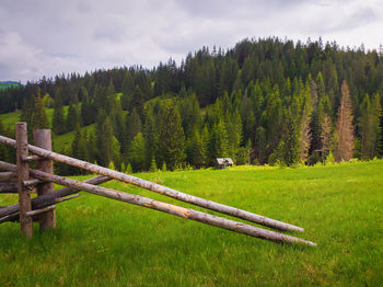 Picturesque spring mountains scene with wooden split rail fence across a green and lush pasture 