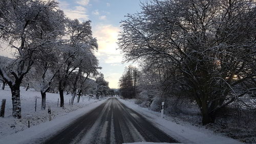 Road amidst bare trees during winter