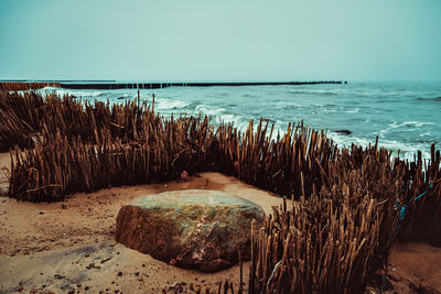 Scenic view of sea against clear sky