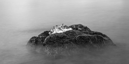 Rock formation on sea shore