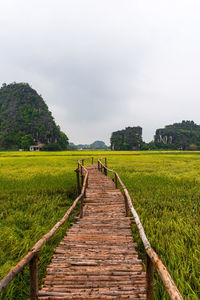 Footpath on field against sky