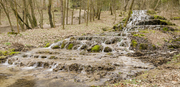 Scenic view of river in forest against sky