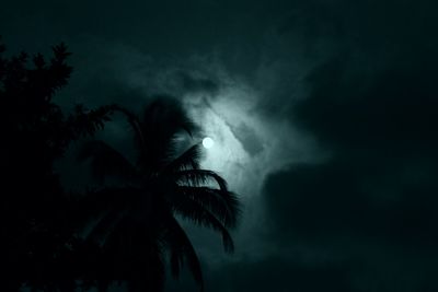 Low angle view of silhouette palm trees against sky at night