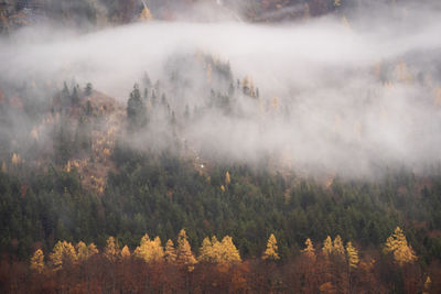 Autumn in the austrian alps