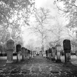 View of cemetery against sky