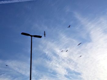 Low angle view of birds flying in sky