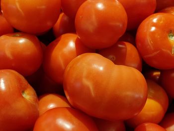 A bunch of fresh tomatoes