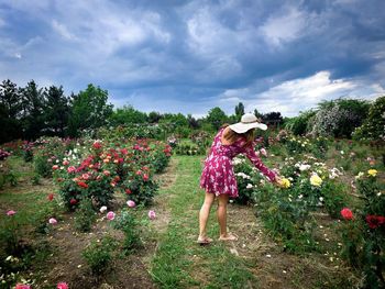 Rear view of woman in dress and hat picking up roses from the garden on a cloudy day