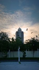 Bird flying over city