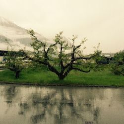 Scenic view of green landscape against sky