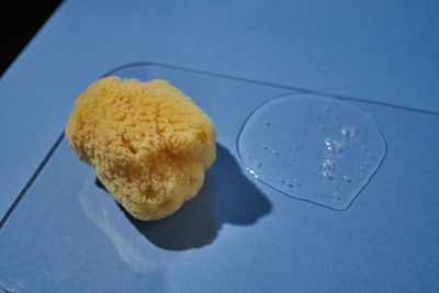 A natural sponge and a drop of gel or shampoo on a blue background.