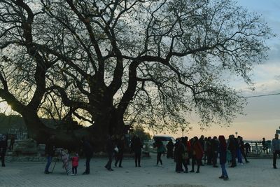 People by tree against sky