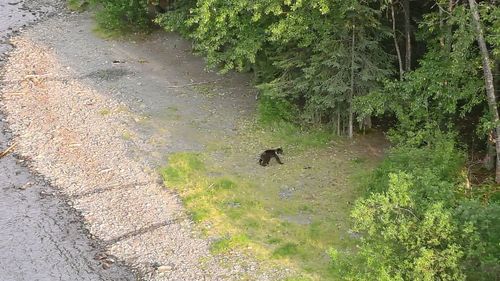 High angle view of bird on land