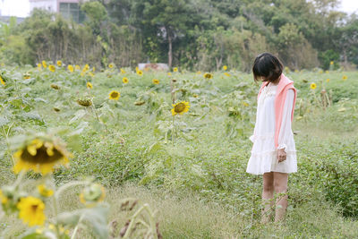 Young woman standing on sunflower field