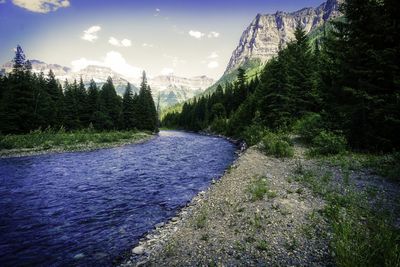 River amidst trees in forest against sky