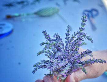 Close-up of hand holding flowers