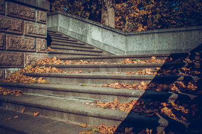 Full frame shot of steps