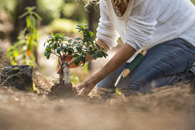 Midsection of woman holding plant