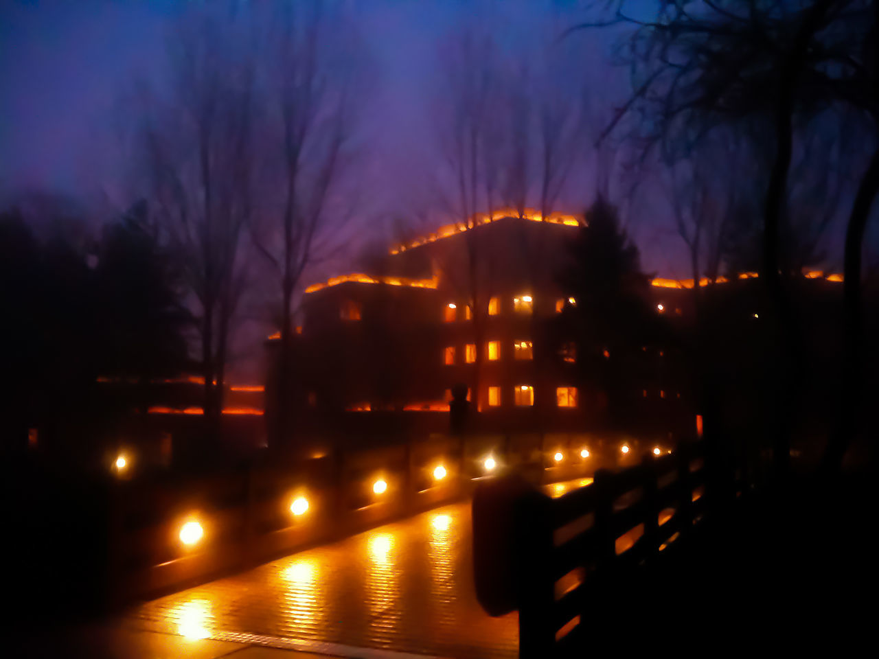 illuminated, night, tree, no people, water, outdoors, river, reflection, waterfront, bridge - man made structure, built structure, bare tree, nature, sunset, sky, architecture, beauty in nature