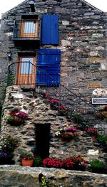 Multi colored brick wall