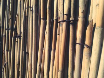 Full frame shot of bamboo fence