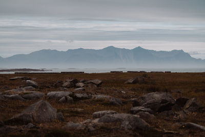 Scenic view of landscape against sky