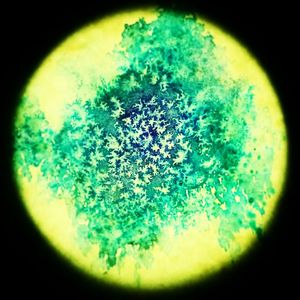 Close-up of water against black background