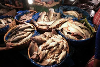 High angle view of fish for sale in market