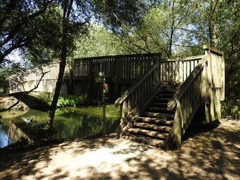 Footbridge amidst trees in forest