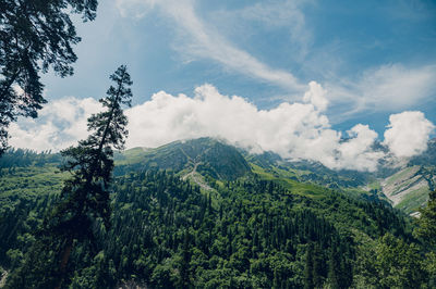 nature