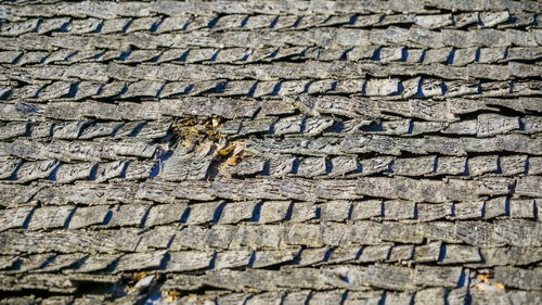 Full frame shot of old stone wall