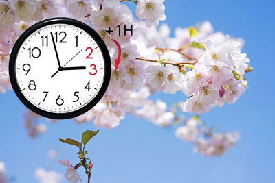 Low angle view of cherry blossoms against sky