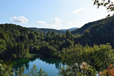 Scenic view of lake by trees against sky