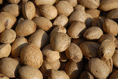 Organic home grown sweet almonds in the shell