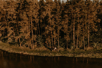 Scenic view of lake in forest during autumn