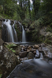 Scenic view of waterfall in forest