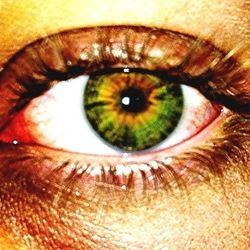 human eye