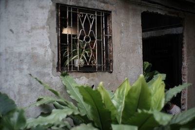 Window of abandoned building