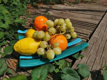 High angle view of fruits on glass dish