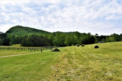 Scenic view of field against sky