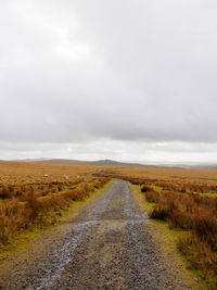 Stratocumulus clouds light a part of the grassy moors of dartmoor. devon, united kingdom.