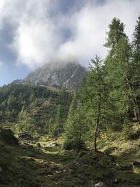 Scenic view of trees and mountains against sky