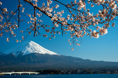 Scenic view of snowcapped mountain against sky